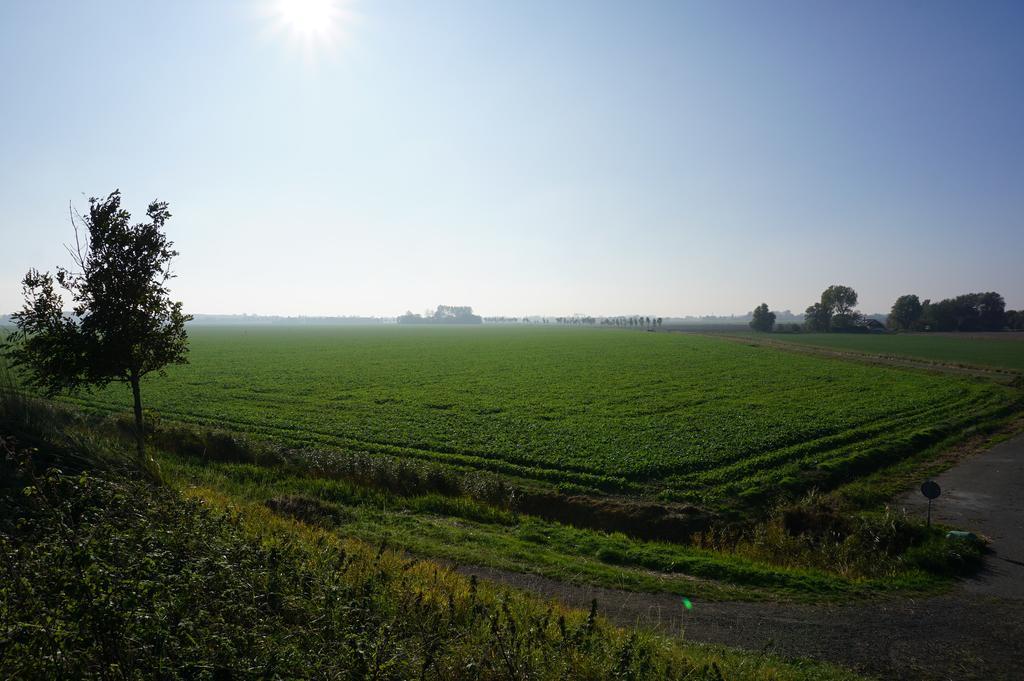 Herberg De Ring Dreischor Kültér fotó